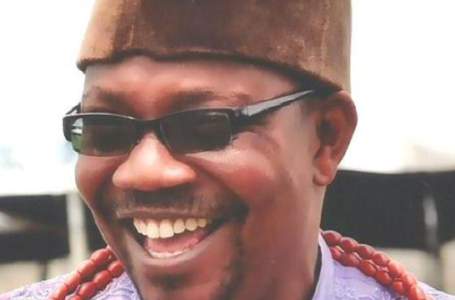 Border Closure: NIS President Urges FG To Reduce Port Charges, Cargo Inspections