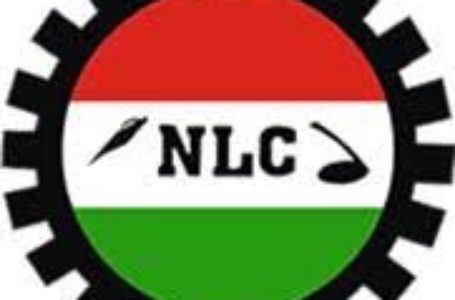 Strike: Lagos Workers Demand N50,000 Minimum Wage