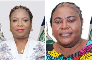 CREATOR: gd-jpeg v1.0 (using IJG JPEG v62), quality = 82?