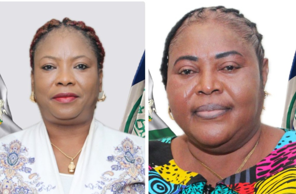 CREATOR: gd-jpeg v1.0 (using IJG JPEG v62), quality = 82?