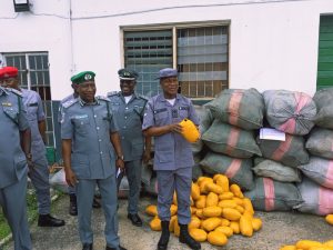 IMG_20220526_112452_807